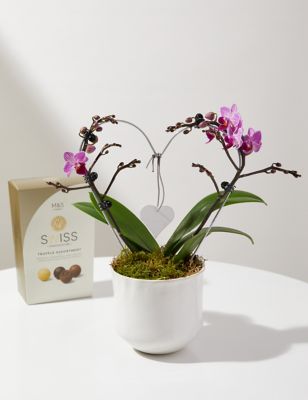 M&S Amethyst Heart Orchid & Swiss Truffles Bundle image