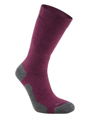Craghoppers Mens Wool Blend Walking Socks - 9-12 - Purple Mix, Purple Mix